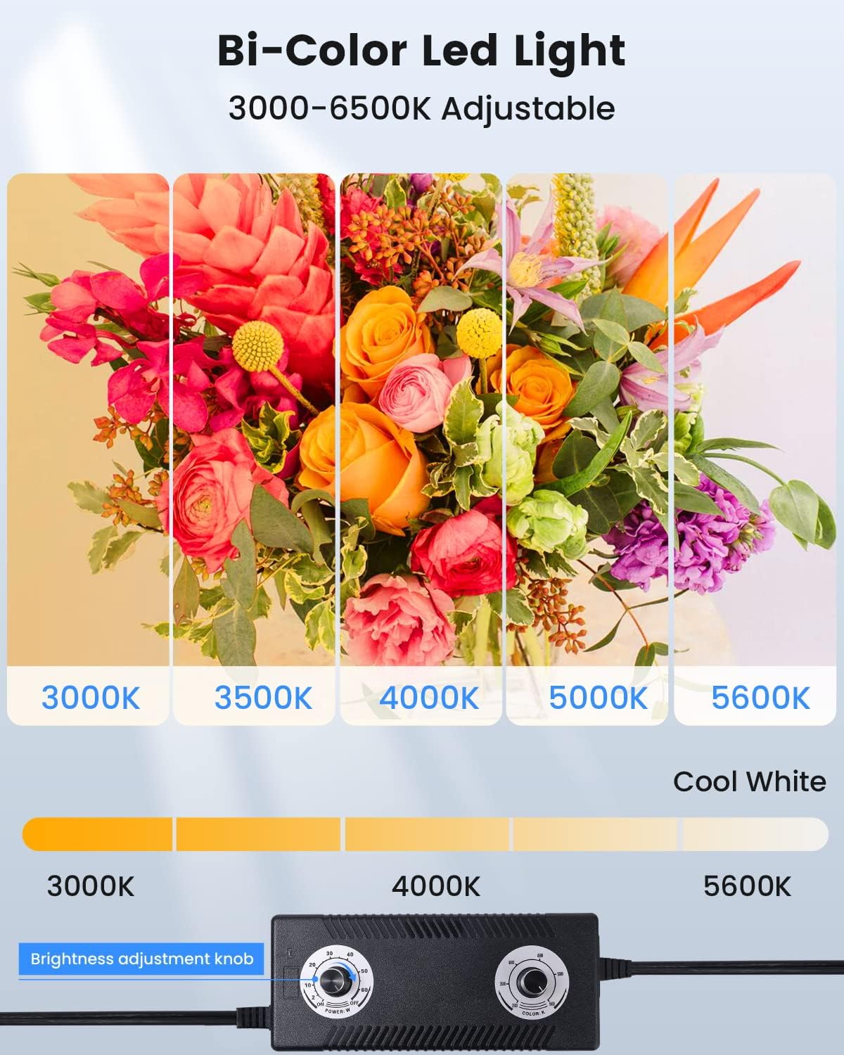 24x24 Foldable Photo Studio Li - Photography Lighting Backdrop ulasan dan harga